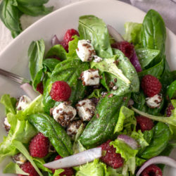 Insalata con basilico fresco su piatto bianco immagine